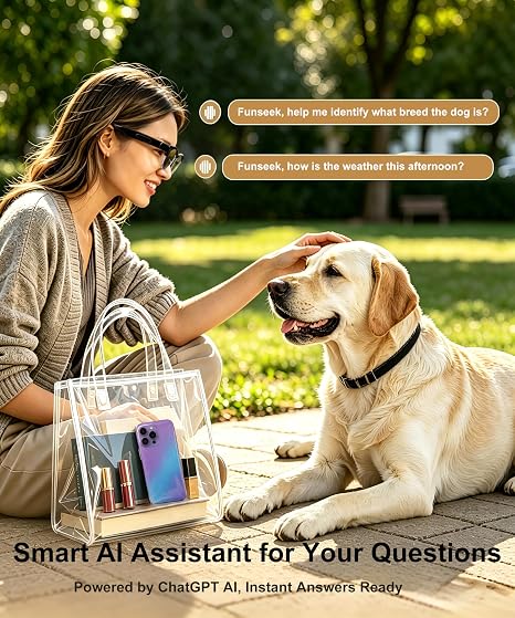 BeeJovial FunSeek AI Glasses